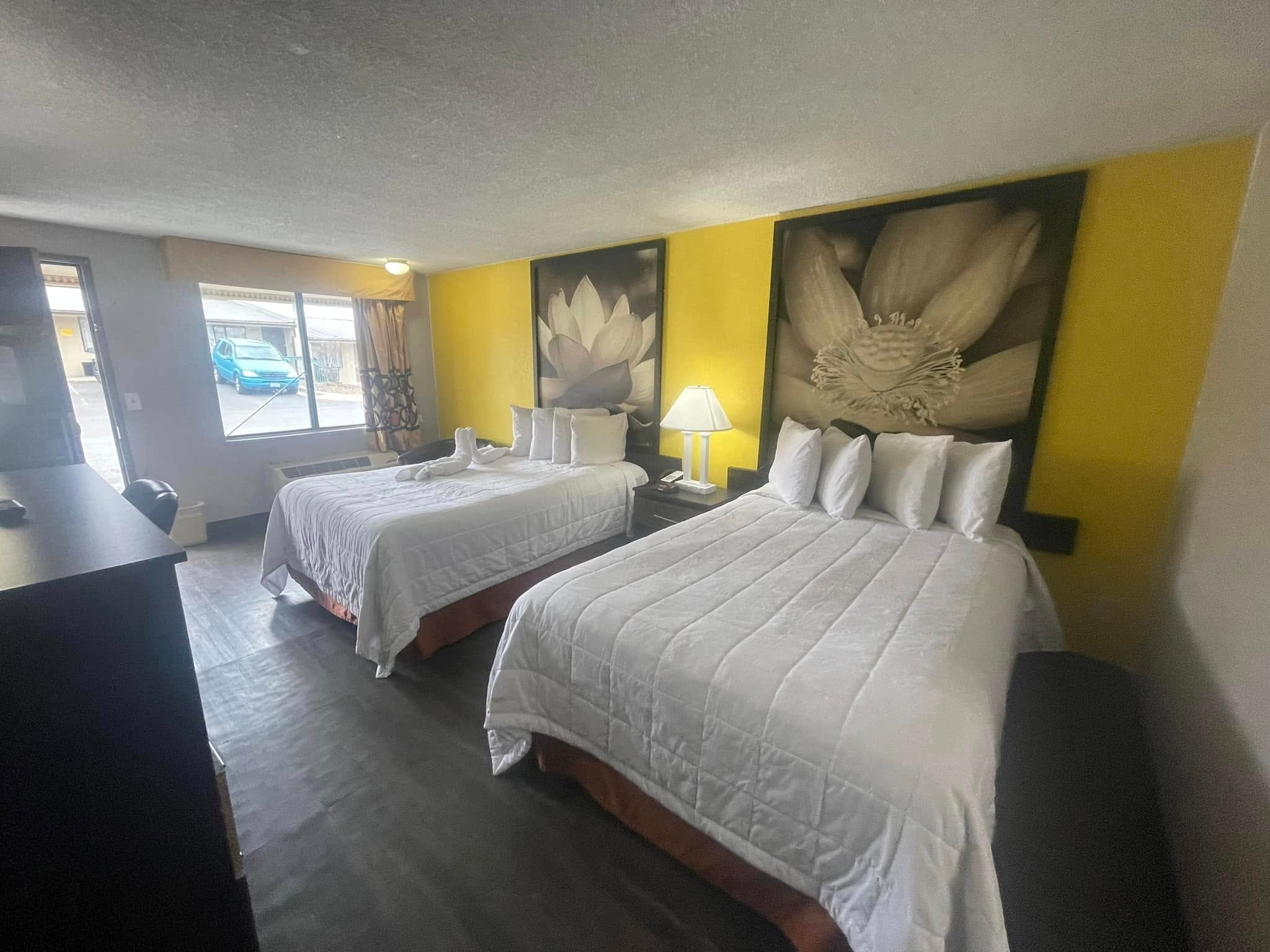 Double queen room with yellow accent wall and botanical artwork